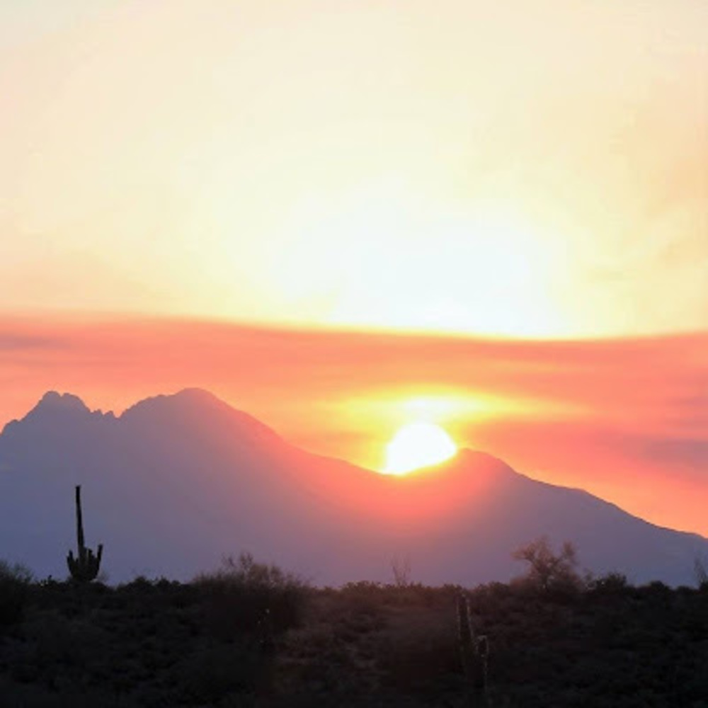 Meet your Posher, Hazel